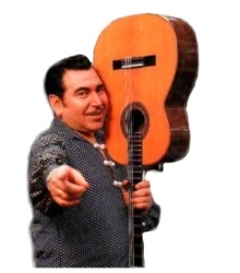 Luis Guitarra.jpg