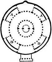 Santo Stefano Rotondo Rome plan 1.jpg