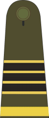 Mexican Military Sargento-primero.gif