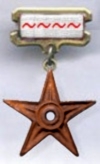 Registered editor badge with tildes.jpg