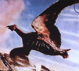 Rodan poster detail.jpg