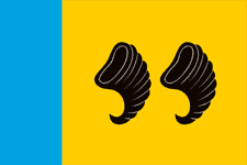 Flag of Nerekhta (Kostroma oblast).png