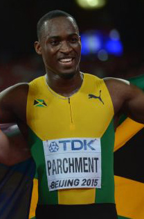 Hansle Parchment Beijing 2015.jpg