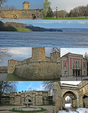 Vidin Collage.png