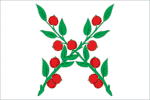 Flag of Chaplygin (Lipetsk oblast).png