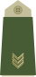 Army-NOR-OR-05.svg