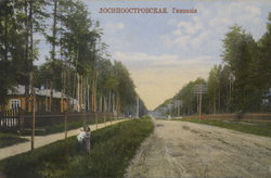 Лосиноостровск в 1910-х