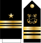 13.SKN-LCDR.svg