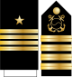 15.SKN-CAPT.svg