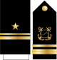 11.SKN-LTJG.svg