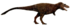 Gorgosaurus flipped.png