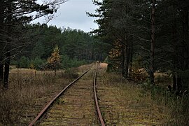 Закрытый подъездной путь, бывший съезд на Псков, 2017 г.