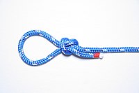 en:Slip knot [abok 273]