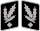 SS-Gruppenführer Collar Rank.svg