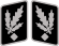 SS-Gruppenführer Collar Rank.svg