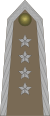 Army-POL-OR-09a.svg