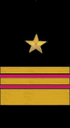 нарукавный знак ВМФ