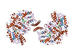 PDB 1nsi EBI.jpg