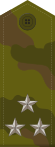 Russia-Army-OF-5-camo.svg