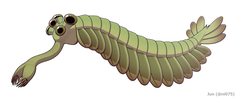 20191108 Opabinia regalis.png