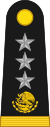 Mexico army OF8.svg