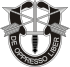 SpecialForces Badge.svg