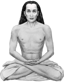 Babaji-transparent.png