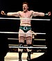 Sheamus-Jan-2012.jpg