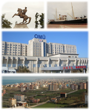 Lupus-Collage Samsun.png