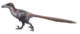 Deinonychus ewilloughby.png