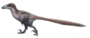 Deinonychus ewilloughby.png