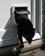 Cat flap.jpg