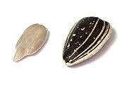 Sunflower Seeds Kaldari.jpg