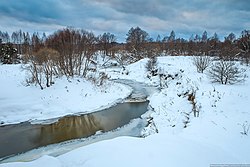 Vytebet.jpg