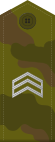 Rus serjant field.svg