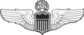 Знак «Пилот-командир»