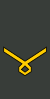 Georgia-Army-OR-8.svg