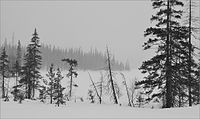 Lapland reservate.jpg