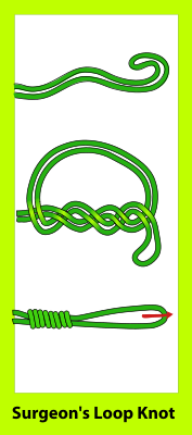 Surgeon's Loop knot.svg