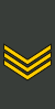 Georgia-Army-OR-6.svg