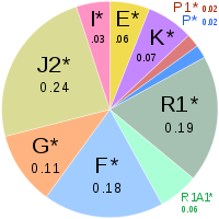 ArmenianHaplogroups.svg