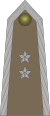 Army-POL-OR-09b.svg