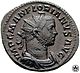 Florianus-Antoninianus(3.6g)-Lugdunum-276(CNG).jpg