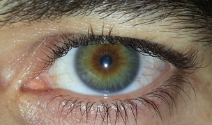 Hazel eye1.png