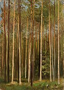 Forest (Shishkin).jpg