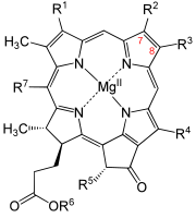 Bacteriochlorophyll.svg