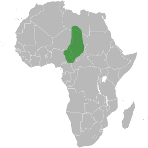 Kanem-Bornu.svg