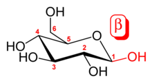 Beta-D-glucopyranose-2D-skeletal.png