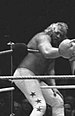 Big John Studd.jpg