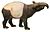 Tapir white background.jpg